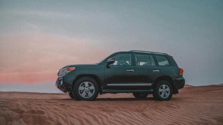 rising fuel prices ev interest uae - Dubai Car Zone